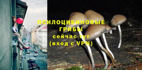 mdpv Пестово