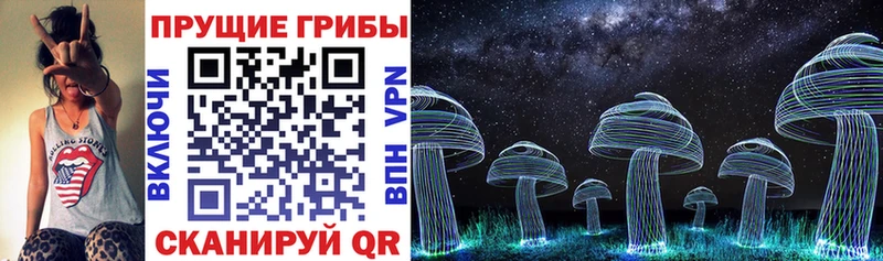 закладки  Ликино-Дулёво  Галлюциногенные грибы прущие грибы 
